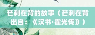 芒刺在背的故事（芒刺在背出自：《汉书·霍光传》）_成语故事 菊江历史网