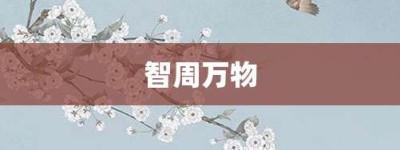 智周万物【智周万物的意思】- 成语大全