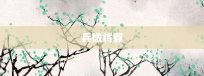 兵微将寡【兵微将寡的意思】- 成语大全