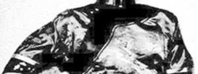 张爱玲简介_张爱玲的儿子_张爱玲的故事_张爱玲怎么死的 菊江历史网