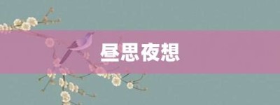 昼思夜想【昼思夜想的意思】- 成语大全