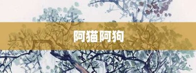 阿猫阿狗【阿猫阿狗的意思】- 成语大全