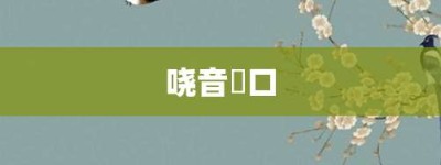 哓音瘏口【哓音瘏口的意思】- 成语大全