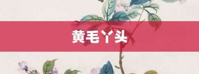 黄毛丫头【黄毛丫头的意思】- 成语大全