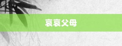 哀哀父母【哀哀父母的意思】- 成语大全