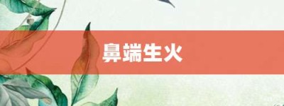 鼻端生火【鼻端生火的意思】- 成语大全