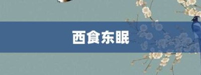 西食东眠【西食东眠的意思】- 成语大全