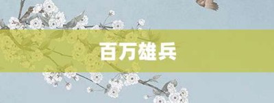 百万雄兵【百万雄兵的意思】- 成语大全