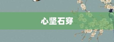 心坚石穿【心坚石穿的意思】- 成语大全