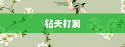 钻天打洞【钻天打洞的意思】- 成语大全