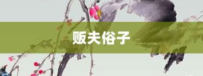 贩夫俗子【贩夫俗子的意思】- 成语大全