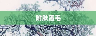 附肤落毛【附肤落毛的意思】- 成语大全