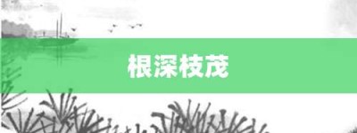 根深枝茂【根深枝茂的意思】- 成语大全