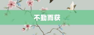 不勤而获【不勤而获的意思】- 成语大全
