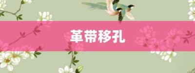 革带移孔【革带移孔的意思】- 成语大全