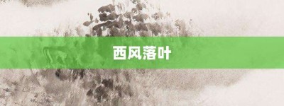 西风落叶【西风落叶的意思】- 成语大全