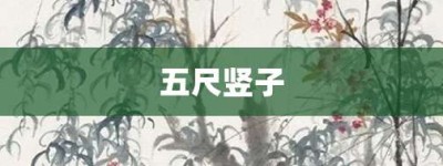 五尺竖子【五尺竖子的意思】- 成语大全