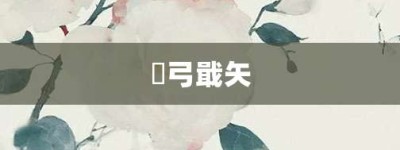 櫜弓戢矢【櫜弓戢矢的意思】- 成语大全