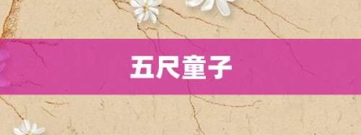 五尺童子【五尺童子的意思】- 成语大全