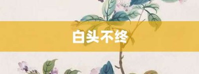 白头不终【白头不终的意思】- 成语大全