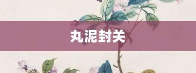 丸泥封关【丸泥封关的意思】- 成语大全