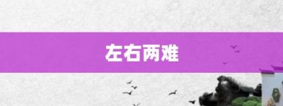 左右两难【左右两难的意思】- 成语大全