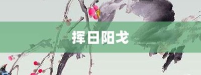 挥日阳戈【挥日阳戈的意思】- 成语大全