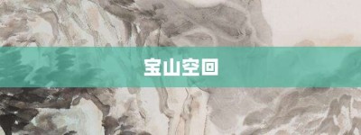 宝山空回【宝山空回的意思】- 成语大全