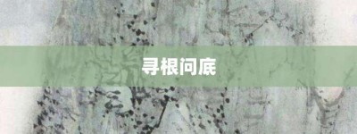 寻根问底【寻根问底的意思】- 成语大全