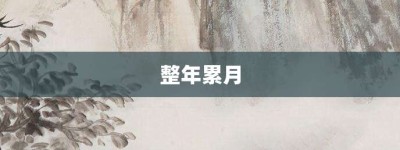 整年累月【整年累月的意思】- 成语大全