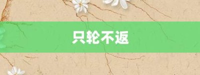 只轮不返【只轮不返的意思】- 成语大全