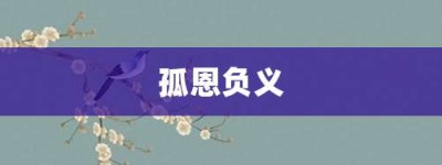 孤恩负义【孤恩负义的意思】- 成语大全