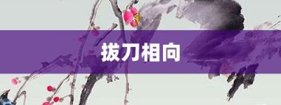 拔刀相向【拔刀相向的意思】- 成语大全