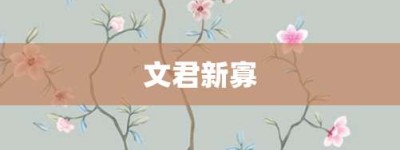 文君新寡【文君新寡的意思】- 成语大全
