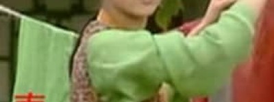 春燕【贾宝玉房内的二等丫鬟】 – 人物百科