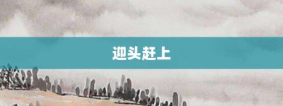 迎头赶上【迎头赶上的意思】- 成语大全