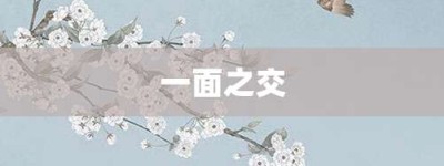 一面之交【一面之交的意思】- 成语大全