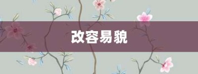 改容易貌【改容易貌的意思】- 成语大全