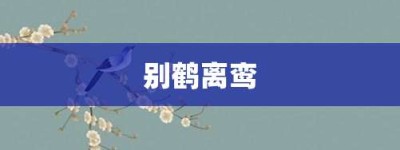 别鹤离鸾【别鹤离鸾的意思】- 成语大全