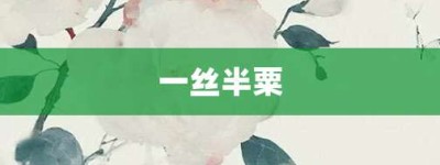 一丝半粟【一丝半粟的意思】- 成语大全