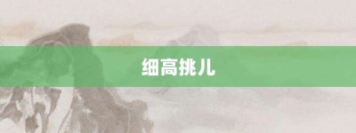 细高挑儿【细高挑儿的意思】- 成语大全