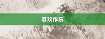 寻欢作乐【寻欢作乐的意思】- 成语大全