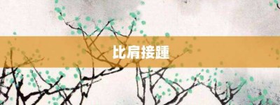 比肩接踵【比肩接踵的意思】- 成语大全