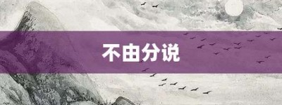不由分说【不由分说的意思】- 成语大全