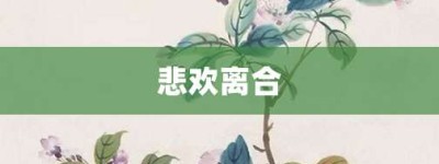 悲欢离合【悲欢离合的意思】- 成语大全