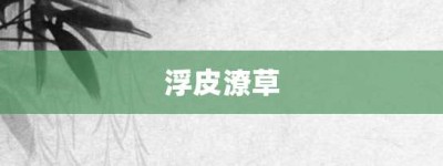 浮皮潦草【浮皮潦草的意思】- 成语大全