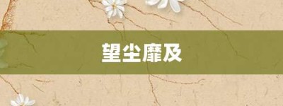 望尘靡及【望尘靡及的意思】- 成语大全