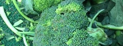 西兰花烹饪得好可以预防癌症_饮食文化 菊江历史网