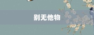 别无他物【别无他物的意思】- 成语大全