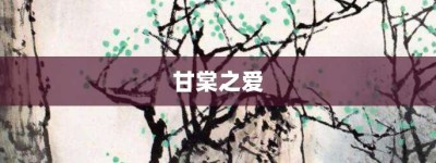 甘棠之爱【甘棠之爱的意思】- 成语大全